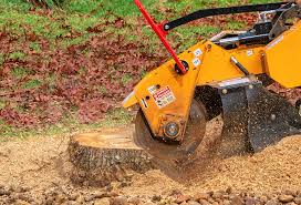 Lawn Maintenance Plans in Arbuckle, CA